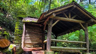 Hiking the Warwoman Dell nature trail in Clayton Ga [upl. by Cirilla]