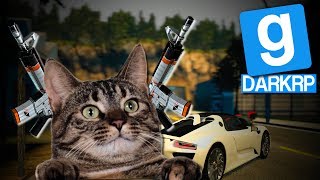 JE SUIS UN CHAT QUI TUE AVEC UNE M4 ASIIMOV  GMOD DarkRP [upl. by Armillas626]