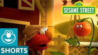 Sesame Street Tomato Musical Preview  Elmo the Musical [upl. by Atikin]