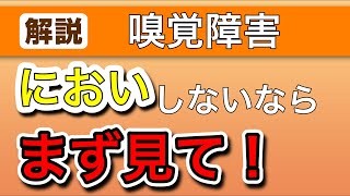 まずこれを見よ！ 嗅覚障害の仕組み、検査法 【耳鼻科医解説】 [upl. by Dlopoel]