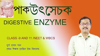 enzyme in bengali digestive enzyme bengali  neet wbcswbbselife science class 9ptyalinpepsin [upl. by Airdnazxela]