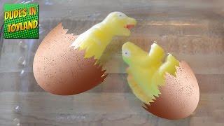 Toy dinosaur eggs surprise [upl. by Honna]