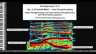 Amselgesang 761  Kombinationstöne in einem 2st Motiv  eine Klangerkundung [upl. by Aihsekat]