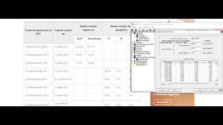 COMO SE ACTUALIZAN LOS SALARIOS MINIMOS EN EL SUA 361 [upl. by Seuqram]