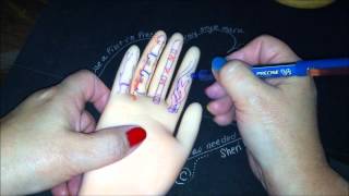 Hand AnatomyColor My Hand part 1 from wwwhandinmindcom [upl. by Obidiah]