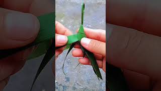 coconut leaf craft grasshopper  how to make a grasshopper shorts [upl. by Leanna]