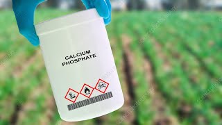 Calcium Phosphate Uses In Agriculture [upl. by Leinahtan]