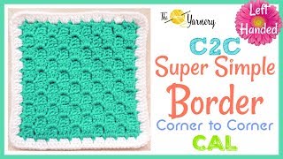 Super Simple Crochet Border for C2C Corner to Corner  LEFT HANDED [upl. by Naleek134]