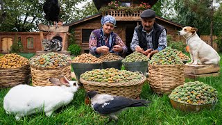 Harvesting and Baking with Fresh Almonds A Village Tradition [upl. by Lynette161]