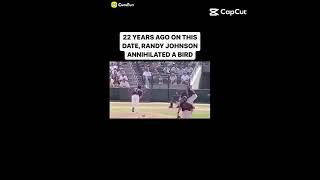 randy Johnson hits bird [upl. by Meesak851]