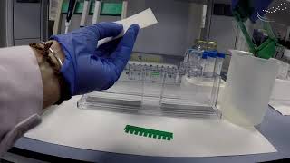 Preparation of a polyacrylamide gel   UPV [upl. by Adria]