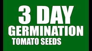 Tomato Seeds 3 Day Germination GrowLikeAPro [upl. by Caine]