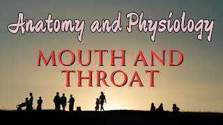 anatomy and physiology of the mouth and throat [upl. by Blandina]