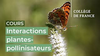 Interactions plantespollinisateurs  hier aujourd’hui et demain 1  E Porcher 20232024 [upl. by Nylirehs]