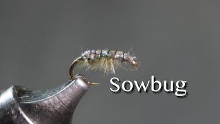 Sowbug [upl. by Xila]