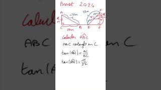 Brevet  Calculer un angle  Trigonométrie 8 [upl. by Sanferd898]