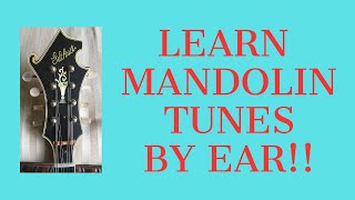 Mandolin Learn St Annes Reel By Ear Pete Martin [upl. by Hamann]