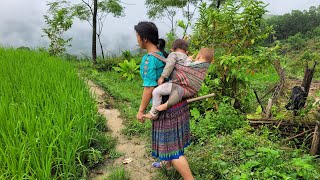 Growing Pickled Scallions  Weeding Upland Rice [upl. by Bryner]