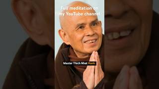 Thich Nhat Hanh Memorial Guided Meditation [upl. by Jagir]