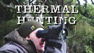 Using the Hikmicro Thermal for Hunting [upl. by Garvy920]