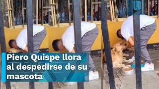 ¡INOLVIDABLE MOMENTO Piero Quispe lloró al despedirse de su perro [upl. by Nwahsal]