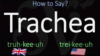 How to Pronounce Trachea British Vs American English Pronunciation [upl. by Nike335]