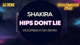 HIPS DONT LIE  DJ REME X MOOMBAHTON REMIX X SHAKIRA [upl. by Arec36]