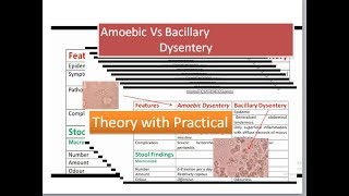 Amoebic Dysentery versus bacillary dysentery [upl. by Ashling76]