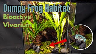 Dumpy Frog Bioactive Vivarium Step by Step Home Build [upl. by Evod525]