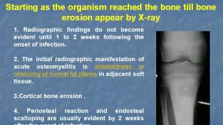 Imaging of Bone Infections Prof Dr Salwa Fathy In Arabic [upl. by Suzanne891]