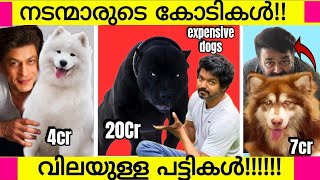 OMG Celebraties most expensive dogs  Most Expensive Dogs of Popular Actors  Mohanlal vijay Etc [upl. by Clemens]