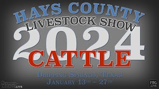 2024 Cattle Show  Hays County Youth Livestock Show [upl. by Percy254]