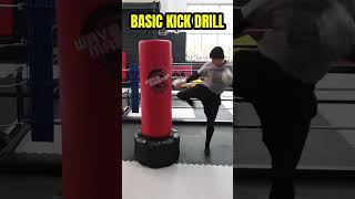 Free Standing Punch Bag Basic Combo Blocking Drill kickboxing martialarts mma [upl. by Aliak]