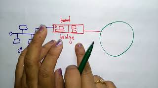 LAN  Local Area Network  CN  Computer Networks  Lec12  Bhanu Priya [upl. by Gnes]