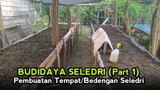 Persiapan Budidaya Seledri pembuatan tempat bedengan panggung sederhana [upl. by Nylirret61]