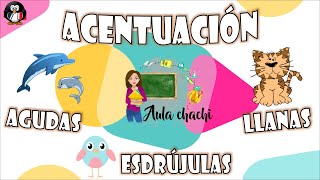 Acentuación  Palabras agudas llanas y esdrújulas  Aula chachi  Vídeos educativos para niños [upl. by Eniagrom]