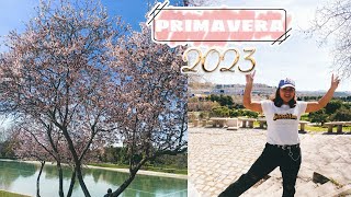 🎉BIENVENIDO PRIMAVERA 2023 🌷  cuándo comienza la primavera en España clima tiempo chaskalis [upl. by Hanonew]