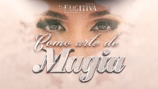 Como Arte De Magia VIDEO OFICIAL  La Fugitiva De Mike Miramontes [upl. by Anire]