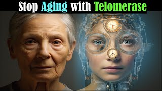 Can we Stop Aging Telomerase and Telomeres Impact Longevity 2024 [upl. by Whitcomb]