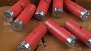 12 Gauge Birdshot For Home Defense [upl. by Zetrauq]