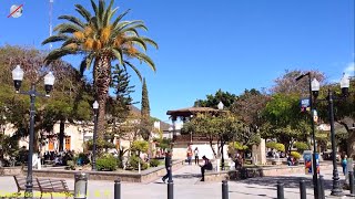 De VISITA en Tlajomulco de Zúñiga Jalisco México ¡¡FENOMENALLL [upl. by Jackquelin]