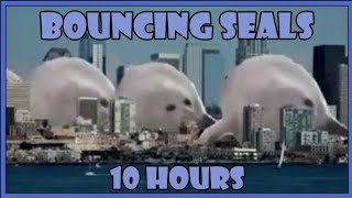 bouncing Seal 10 hour edition [upl. by Ijuy]