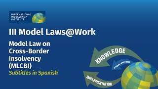 Subtitles in EspañolAn Introduction to UNCITRALs Model Law on CrossBorder Insolvency Law MCBLI [upl. by Neellek]