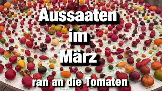 Meine Aussaat im März Tomaten säen und vieles mehr [upl. by Liana379]