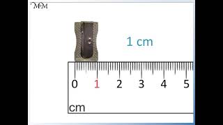 How to Measure Different Objects in Centimetres using a Ruler [upl. by Akin]