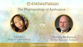 The Pharmacology of Ayahuasca  Dennis McKenna [upl. by Stephania]