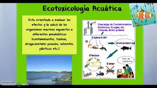 ECOTOXICOLOGIA [upl. by Esther]