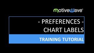 Adding and Formatting Chart Labels in MotiveWave [upl. by Sidon]