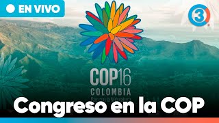 Cámara de Representantes se toma la COP16  EN VIVO  Tercer Canal [upl. by Krystalle]