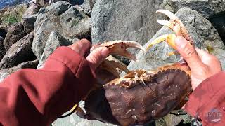 Dungeness Crab Snaring off the Washington Coast Jetty [upl. by Natsirt385]